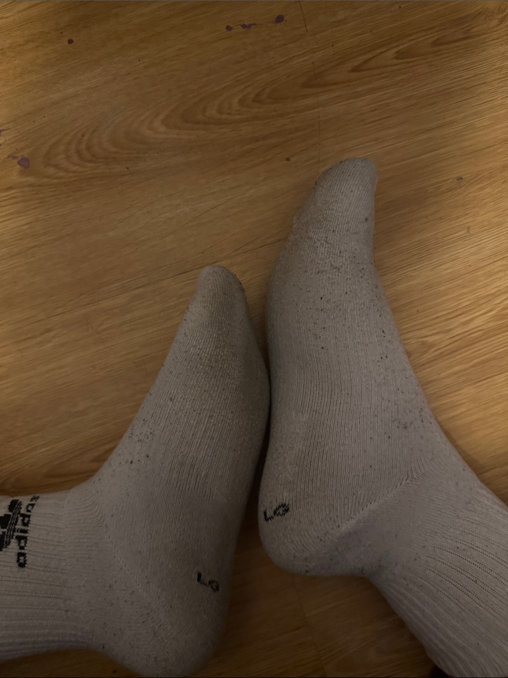 Used Socks :)